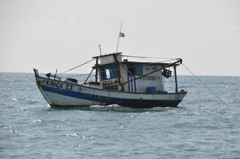 A rustic fishing boat flying the Brazilian flag is captured sailing on the open sea with a clear horizon.