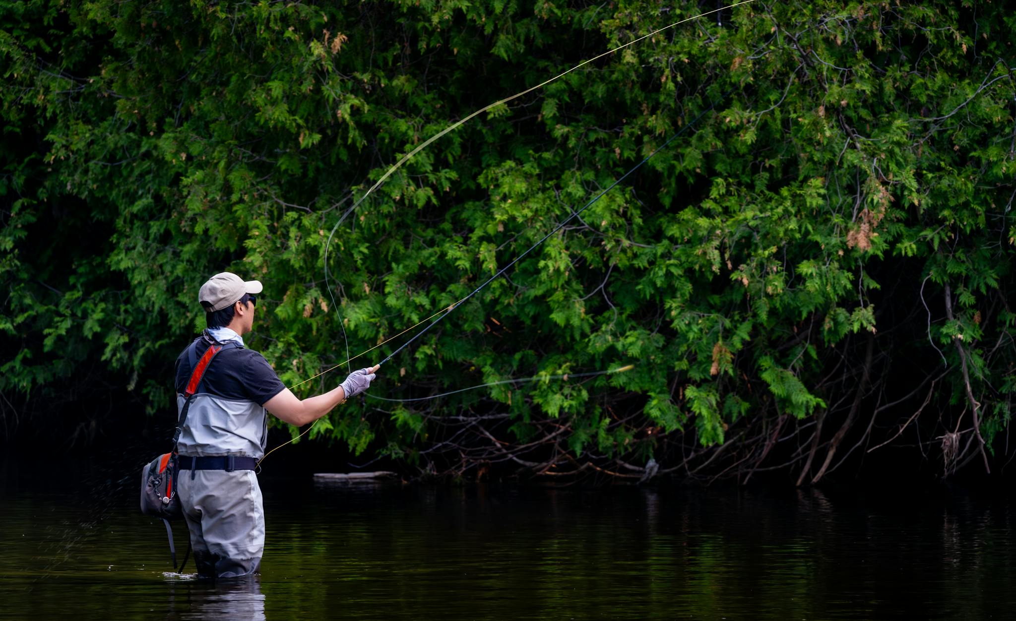 An adult male fly fishing in a river surrounded by dense forest, showcasing outdoor adventure.
