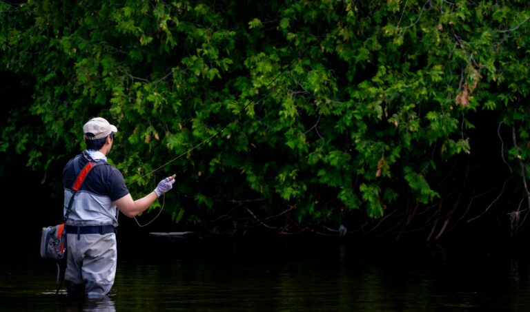 Man fly fishing in a tranquil river surrounded by lush greenery.