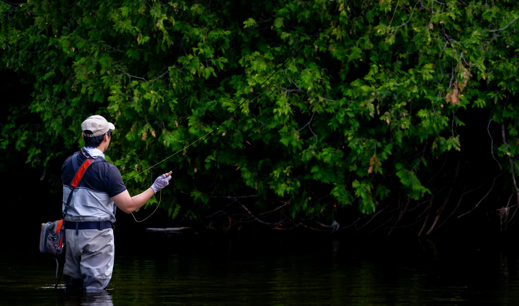 Man fly fishing in a tranquil river surrounded by lush greenery.